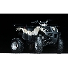 Квадроцикл IRBIS ATV150U 150cc 4т 2